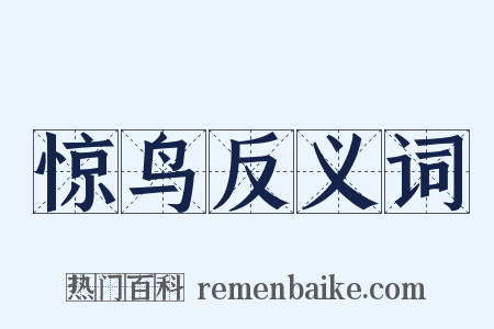 惊鸟反义词是什么意思的图片